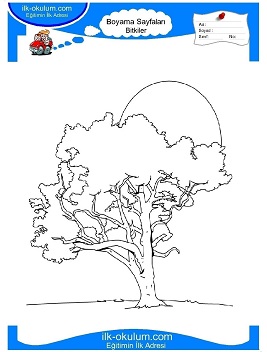 Çocuklar İçin Ağaç Boyama Sayfaları 